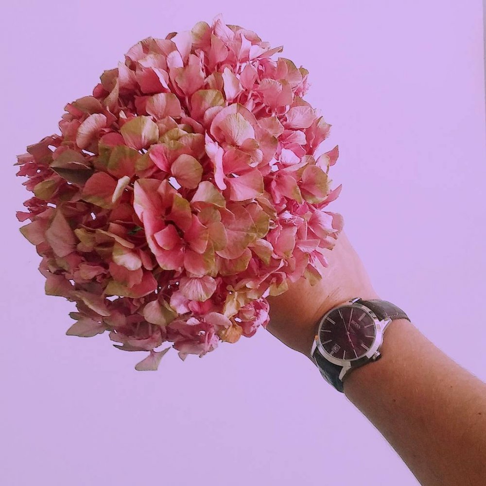 Dostáváte květiny i k jiné příležitosti než je omluva? 😂😍 Sdílejte s námi vaše nejkrásnější okamžiky s #KAnejkrasnejsiOkamzik a vyhrajte krásné ceny. Více info pod soutěžní fotkou 😉😍 #hodinky #HugoBoss 1513132 #nedele #kvetiny #radost #czechboy #czechgirl