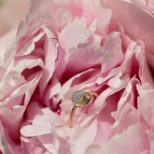 Tento dechberoucí prsten z kolekce 999 zamotá hlavu nejedné ženě... 💍 Souhlasíte, dámy? 😍🤍 #klenotyaurum #klenotyslaskouuz65let #ring #sperk #jewelry #prsten #gold #diamond #yellowgold
